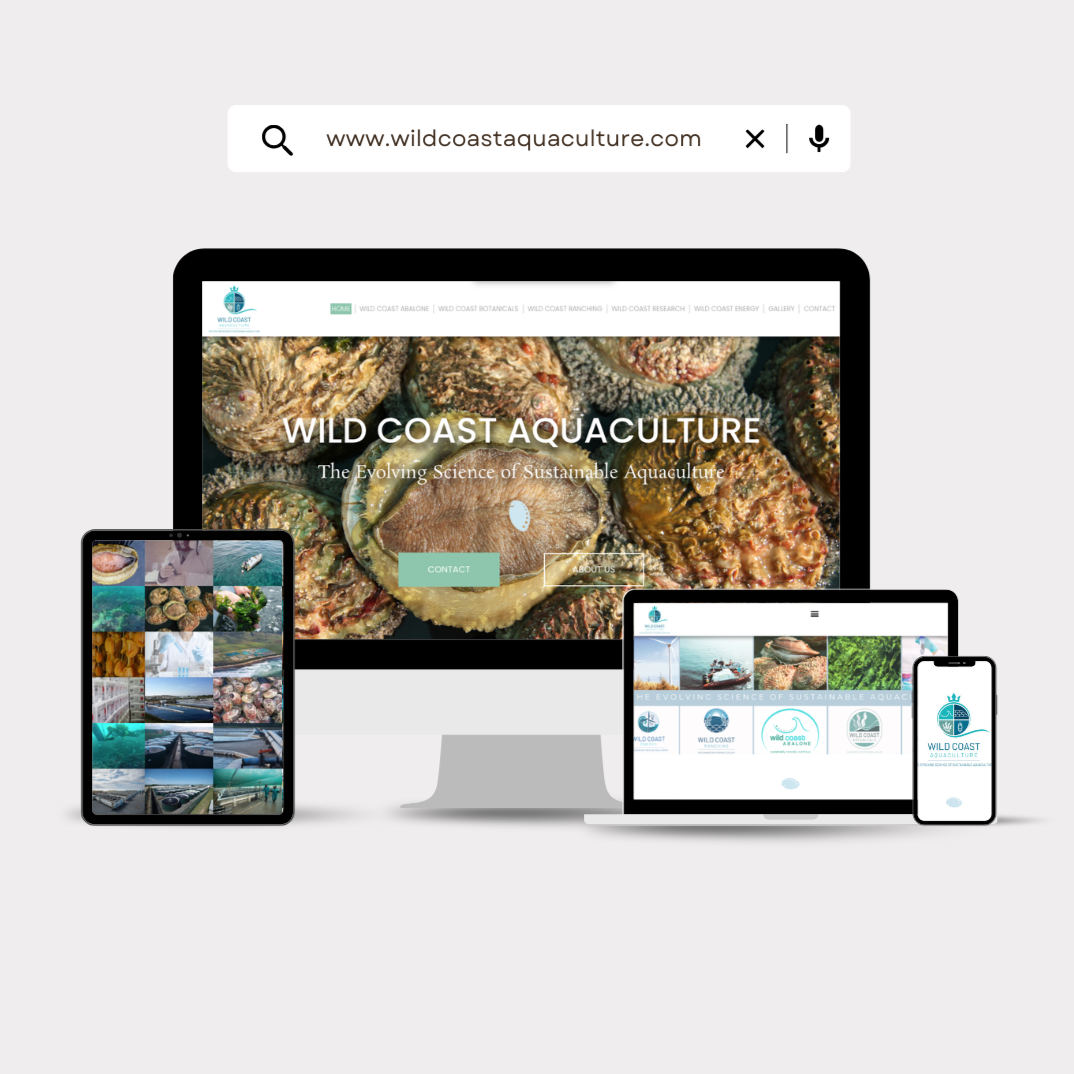 Wild Coast Aquaculture | Website | Brand Strategy
